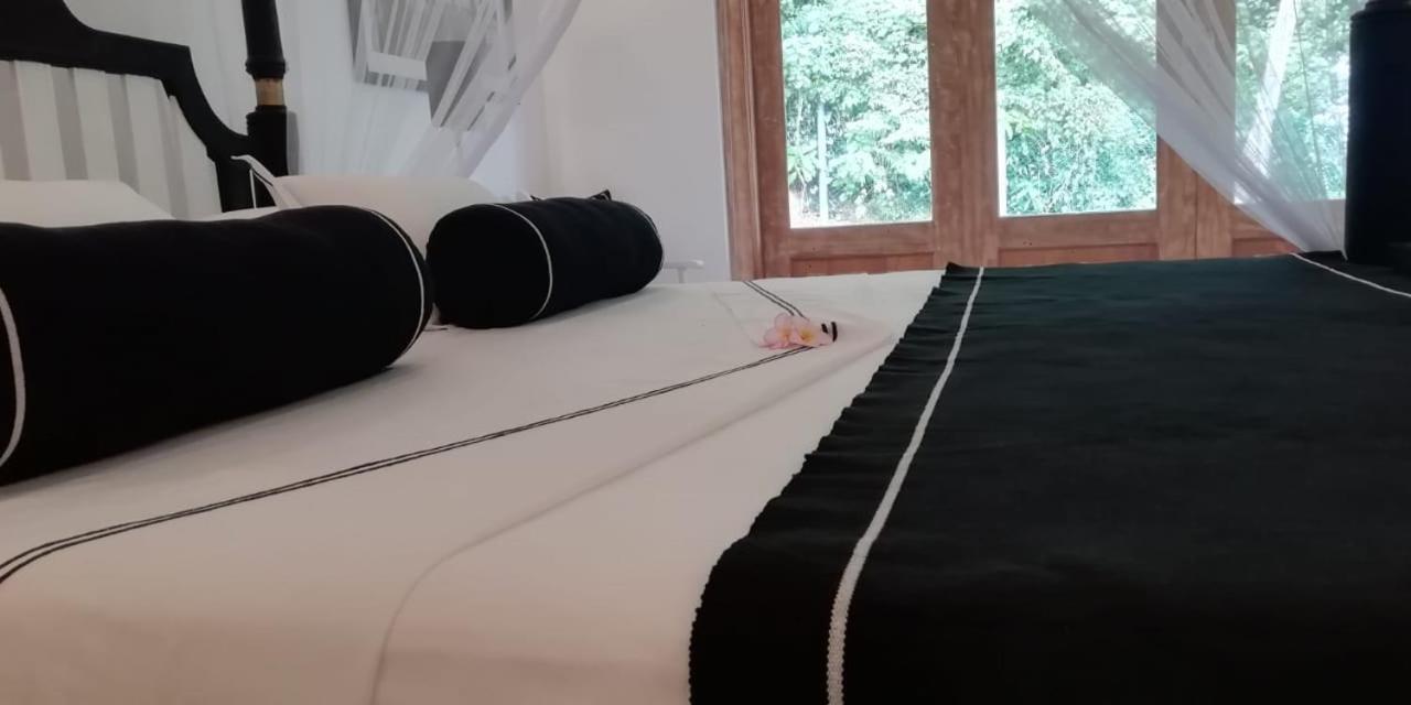 The Divine Villa 陶尔佩 外观 照片